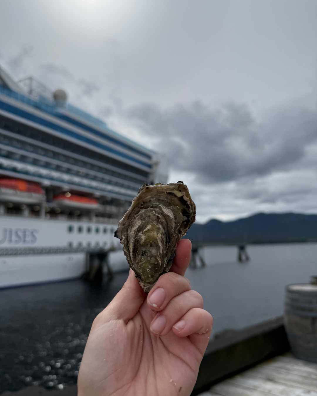 fresh Alaskan oysters right on the docks