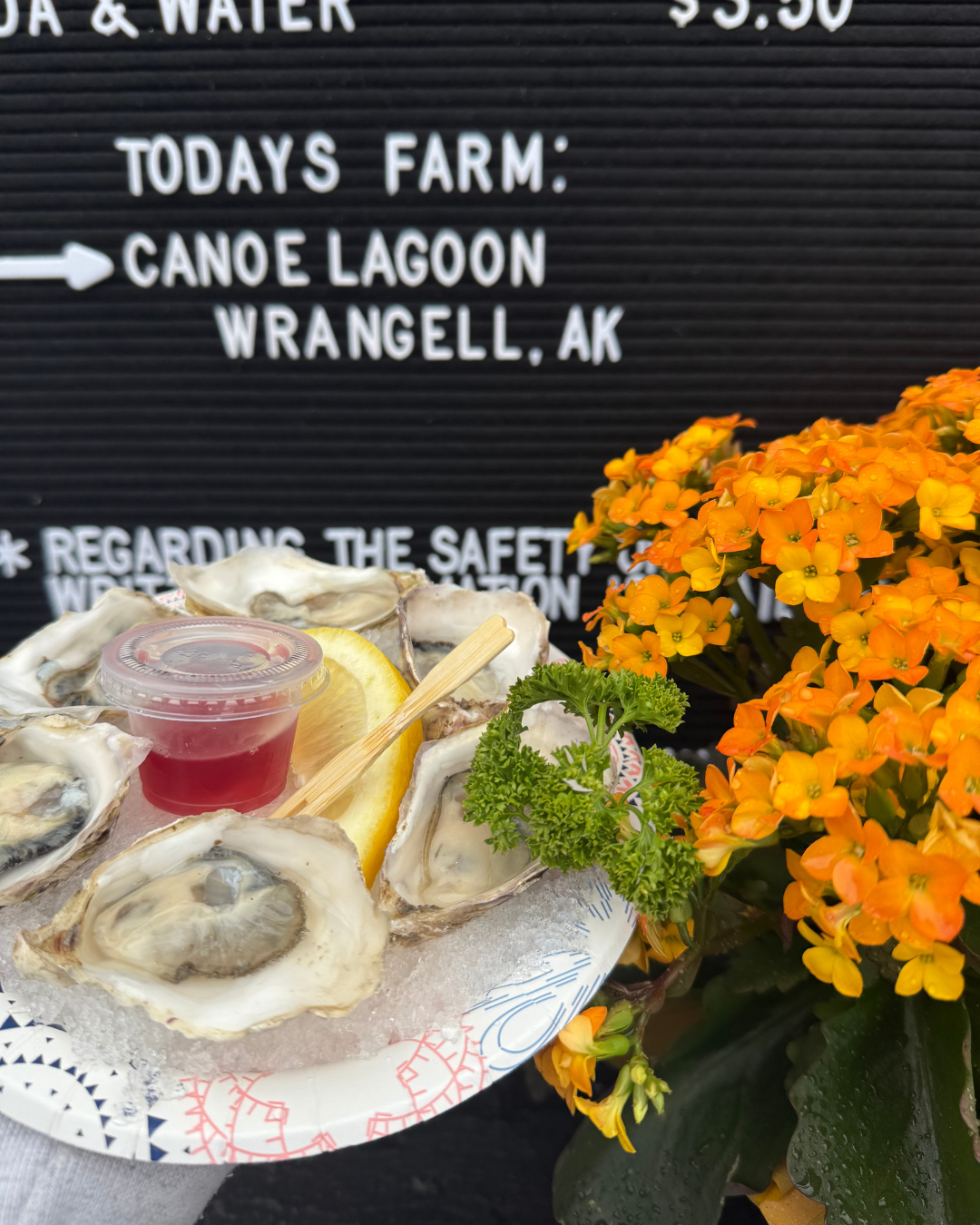 locally sourced Alaskan oysters